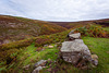 Bray clough