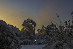 Sonnenuntergang vom 03.12.2023 (© Buelipix)