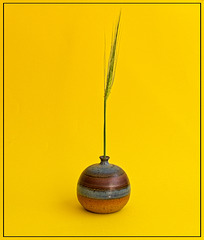 Still Life with Grass
