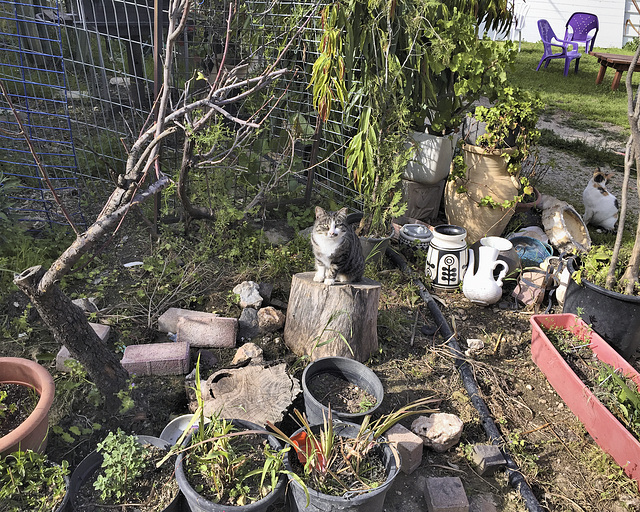 The Potter's Garden – Kfar Hasidim Bet, Haifa District, Israel