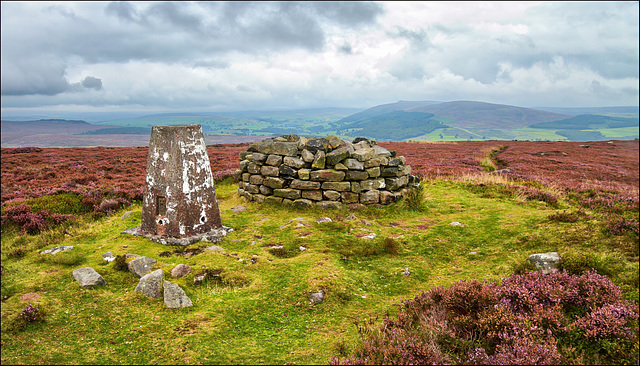 Another Dales view