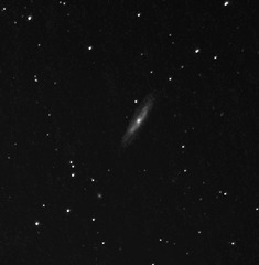 M98 in the Virgocluster