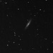 M98 in the Virgocluster