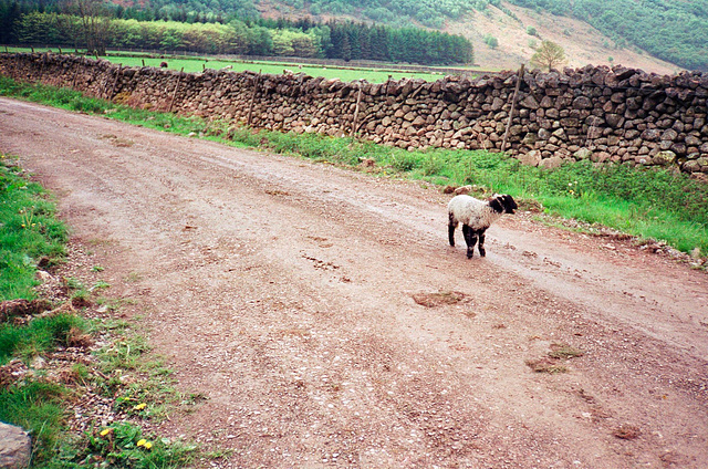 Ennerdale (Scan from May 1990)