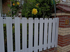 HFF - HAPPY FENCE FRIDAY