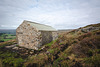 Shooting cabin near Whitethorn clough