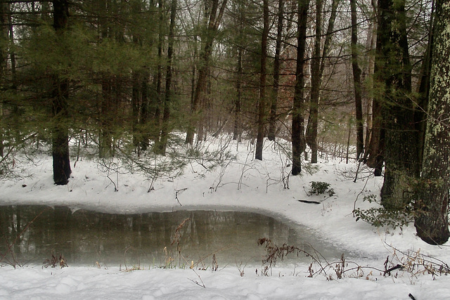 Water On Ice