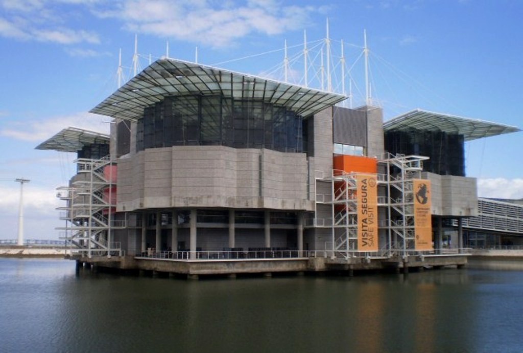 Lisbon Oceanarium.