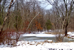 Pond Not Ready For Ice-Fishing