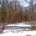 Pond Not Ready For Ice-Fishing