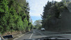 Through Car Window.