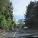 Through Car Window.