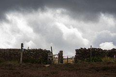 Snake Path gates