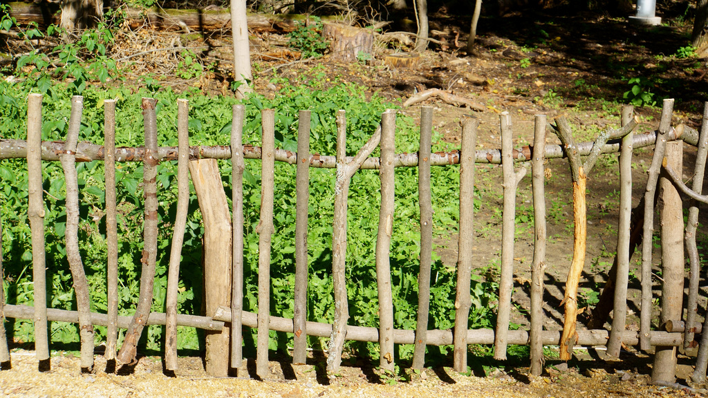 Happy Fence Friday to All of You