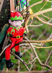 Wee Elf up a Tree