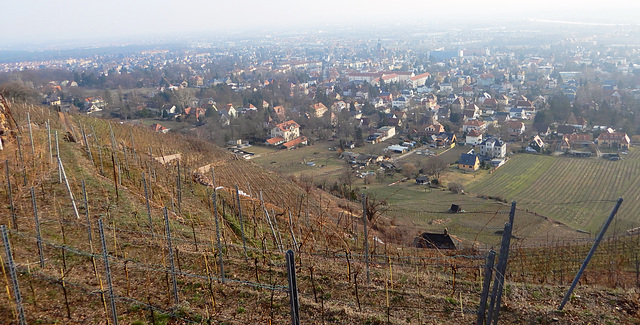 Über Radebeuls Dächer 10