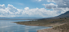 Walker Lake (#1134)