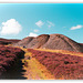 Horseshoe pass (8)