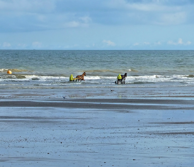 Franceville-Merville (14) 3 octobre 2018.