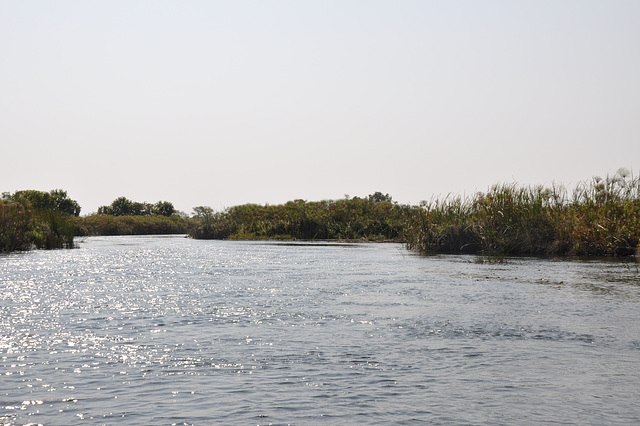 Tra la kanaloj de Okavango-Delto