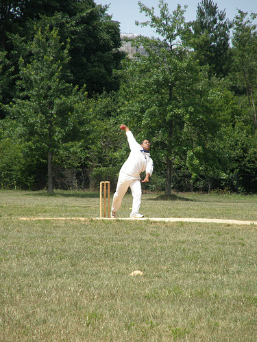 Cricket in America