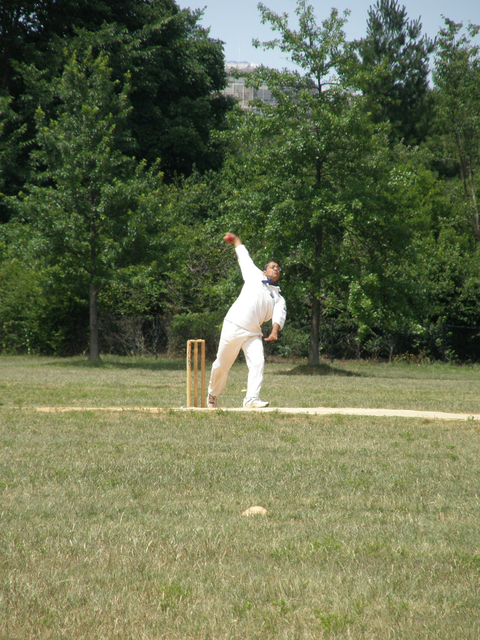 Cricket in America