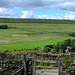 Cown Edge panorama