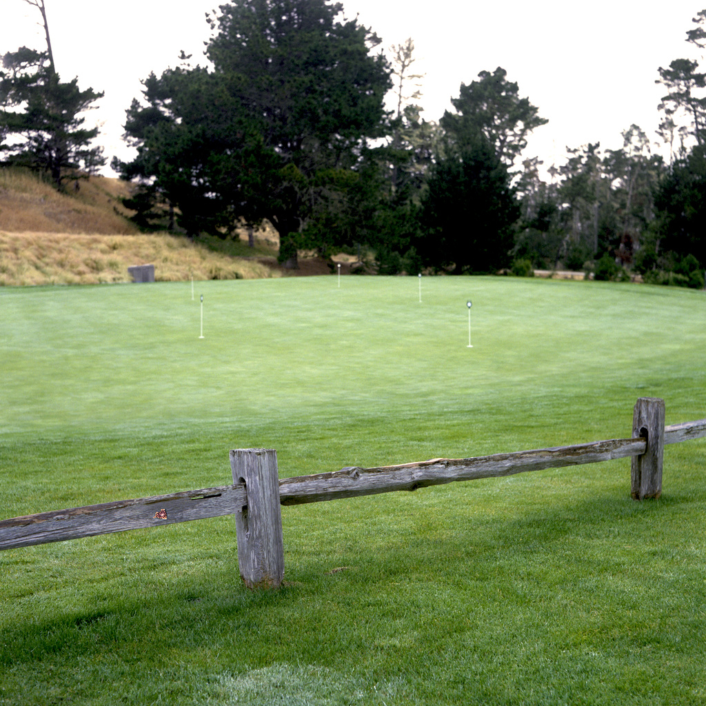 Putting Practice Green