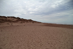 Seuls sur la plage.....