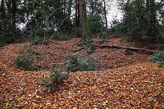 Pinge von Schacht Caspar der ehem. Zeche Buschbank (Sprockhövel) / 6.11.2022