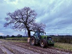 Trimming edges and hedges