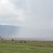 Ngorongoro, Rainstorm Approaching