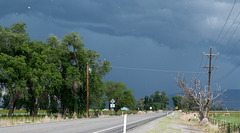 Yerington, NV Cottonwood storm (#1138)