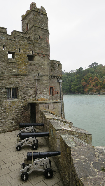 Dartmouth Castle