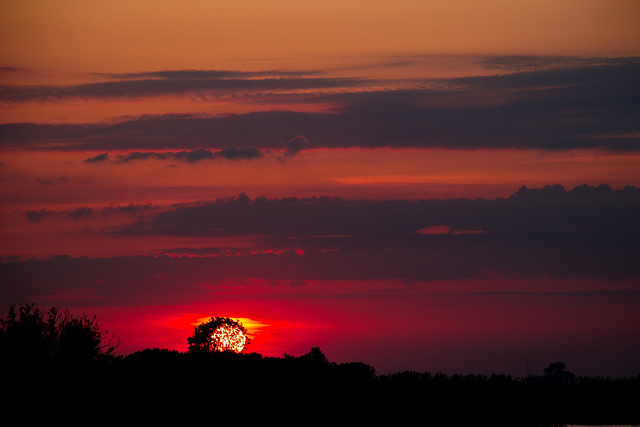 Coucher du soleil - Sonne und Busch kuscheln