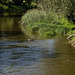 KR525665©IngoKrehl