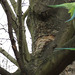 abney park cemetery, stoke newington, london