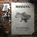 Missing:Peace