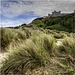 Bamburgh Sand Dunes