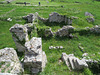 Salona : habitations.