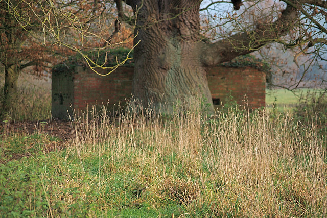 Pillbox