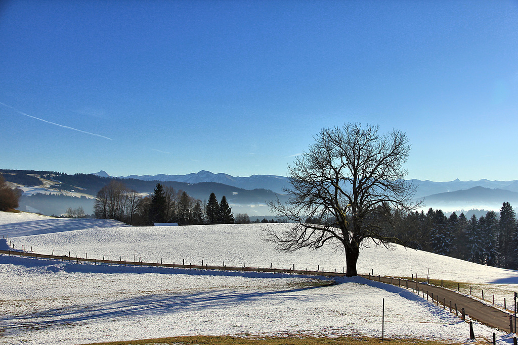 HFF - Allgäuer Landschaft