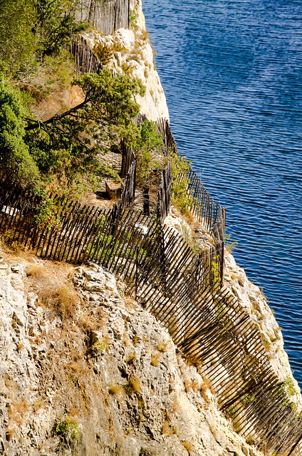 Some Fences for Friday