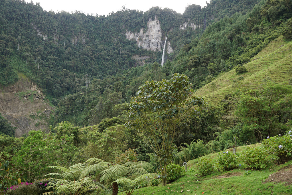 Thermalis la quinta, Colombia