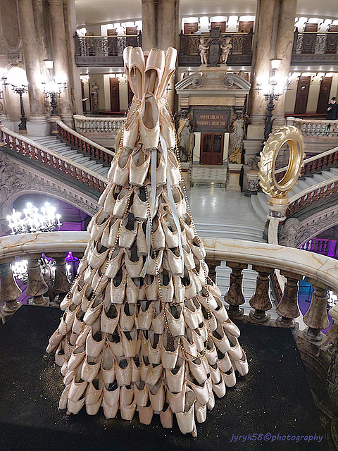 Palais Garnier - Opéra National de Paris (11)