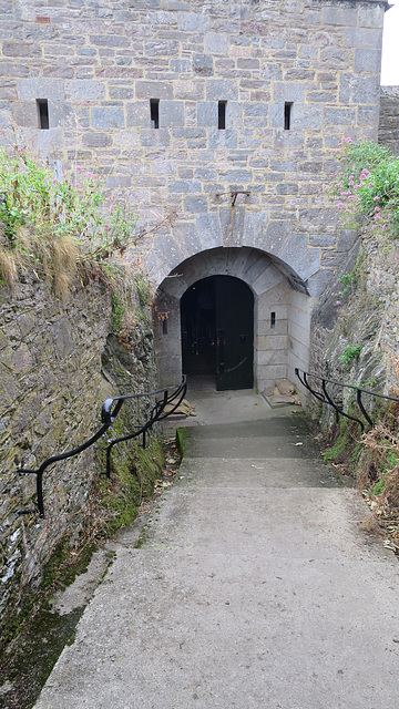 Dartmouth Castle