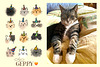 Familienkatze