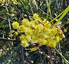09 04 2025