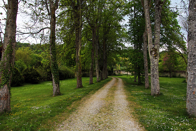 Chemin vers l'inconnu , à moi l'aventure de tous les dangers !!!!