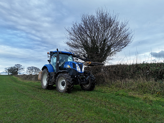 Trimming edges and hedges